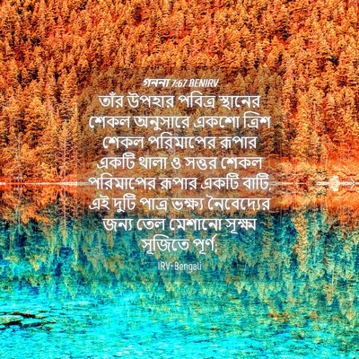 Picture 04 - গননা 7:67 BENIRV - তাঁর উপহার পবিত্র - Bible Verse Picture