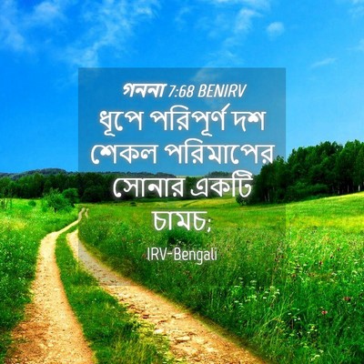 Picture 04 - গননা 7:68 BENIRV - ধূপে পরিপূর্ণ দশ - Bible Verse Picture