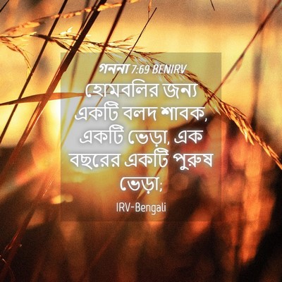 Picture 04 - গননা 7:69 BENIRV - হোমবলির জন্য একটি - Bible Verse Picture