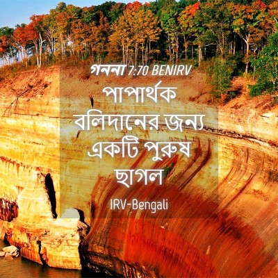 Picture 04 - গননা 7:70 BENIRV - পাপার্থক বলিদানের - Bible Verse Picture