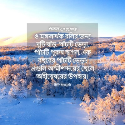 Picture 04 - গননা 7:71 BENIRV - ও মঙ্গলার্থক বলির - Bible Verse Picture