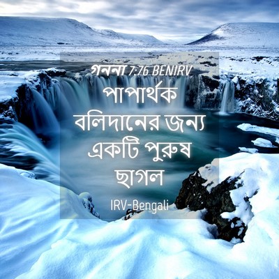 Picture 04 - গননা 7:76 BENIRV - পাপার্থক বলিদানের - Bible Verse Picture