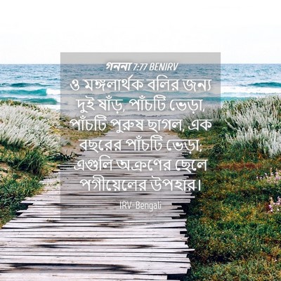 Picture 04 - গননা 7:77 BENIRV - ও মঙ্গলার্থক বলির - Bible Verse Picture