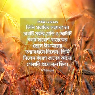 Picture 04 - গননা 7:8 BENIRV - তিনি মরারির - Bible Verse Picture