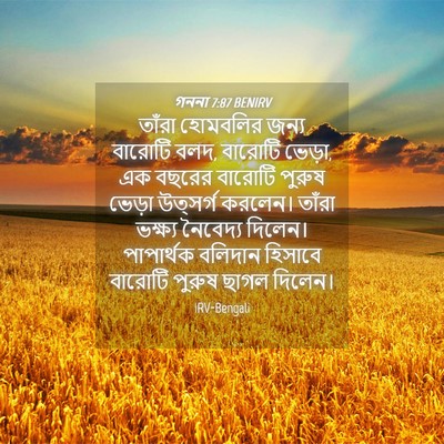 Picture 04 - গননা 7:87 BENIRV - তাঁরা হোমবলির - Bible Verse Picture