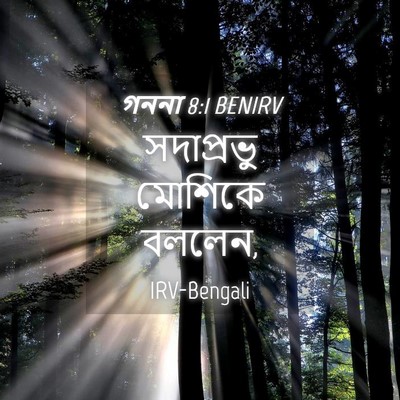 Picture 04 - গননা 8:1 BENIRV - সদাপ্রভু মোশিকে - Bible Verse Picture