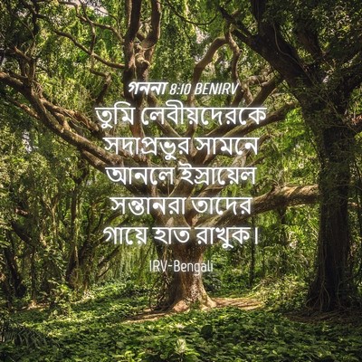 Picture 04 - গননা 8:10 BENIRV - তুমি লেবীয়দেরকে - Bible Verse Picture