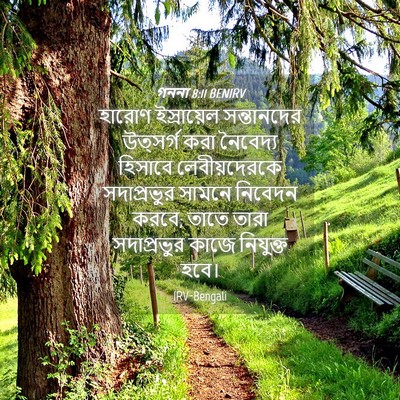 Picture 04 - গননা 8:11 BENIRV - হারোণ ইস্রায়েল - Bible Verse Picture