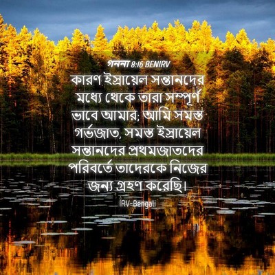 Picture 04 - গননা 8:16 BENIRV - কারণ ইস্রায়েল - Bible Verse Picture
