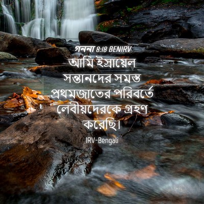 Picture 04 - গননা 8:18 BENIRV - আমি ইস্রায়েল - Bible Verse Picture