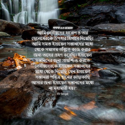 Picture 04 - গননা 8:19 BENIRV - আমি লেবীয়দের - Bible Verse Picture
