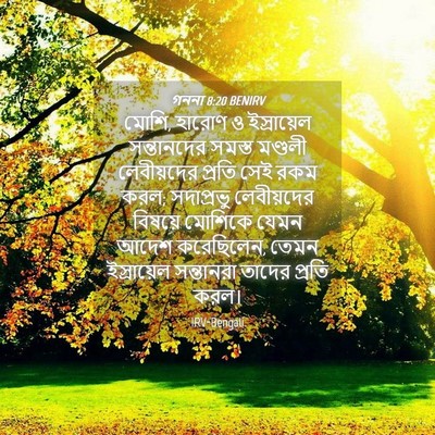 Picture 04 - গননা 8:20 BENIRV - মোশি, হারোণ ও - Bible Verse Picture