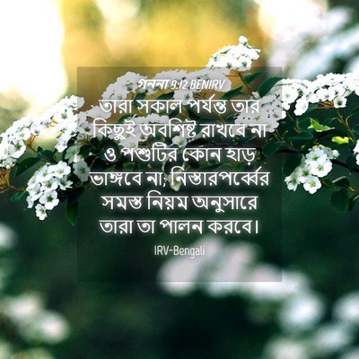 Picture 04 - গননা 9:12 BENIRV - তারা সকাল পর্যন্ত - Bible Verse Picture
