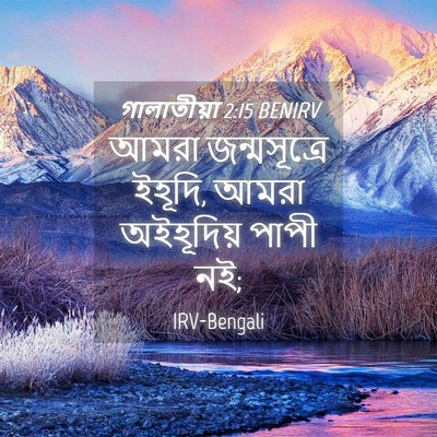 Picture 04 - গালাতীয়া 2:15 BENIRV - আমরা জন্মসূত্রে - Bible Verse Picture