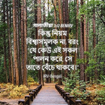 Picture 04 - গালাতীয়া 3:12 BENIRV - কিন্তু নিয়ম - Bible Verse Picture