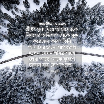Picture 04 - গালাতীয়া 3:13 BENIRV - খ্রীষ্টই মূল্য - Bible Verse Picture