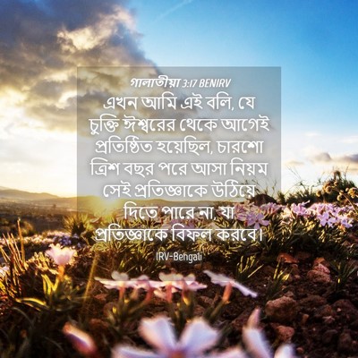 Picture 04 - গালাতীয়া 3:17 BENIRV - এখন আমি এই বলি, যে - Bible Verse Picture