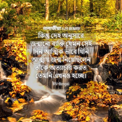 Picture 04 - গালাতীয়া 4:29 BENIRV - কিন্তু দেহ - Bible Verse Picture