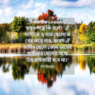 Picture 04 - গালাতীয়া 4:30 BENIRV - তবুও শাস্ত্র কি - Bible Verse Picture