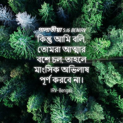 Picture 04 - গালাতীয়া 5:16 BENIRV - কিন্তু আমি বলি, - Bible Verse Picture