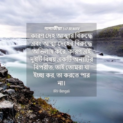 Picture 04 - গালাতীয়া 5:17 BENIRV - কারণ দেহ আত্মার - Bible Verse Picture