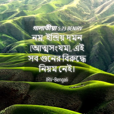 Picture 04 - গালাতীয়া 5:23 BENIRV - নম্র, ইন্দ্রিয় - Bible Verse Picture