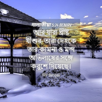 Picture 04 - গালাতীয়া 5:24 BENIRV - আর যারা খ্রীষ্ট - Bible Verse Picture
