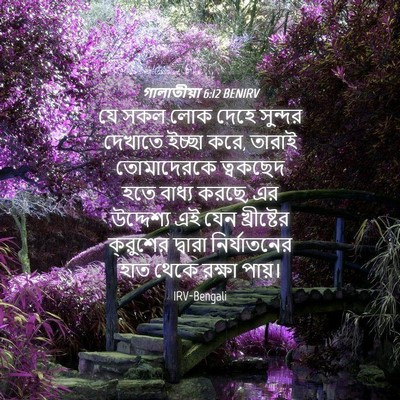 Picture 04 - গালাতীয়া 6:12 BENIRV - যে সকল লোক দেহে - Bible Verse Picture