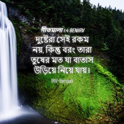 Picture 04 - গীতমালা 1:4 BENIRV - দুষ্টেরা সেই রকম - Bible Verse Picture