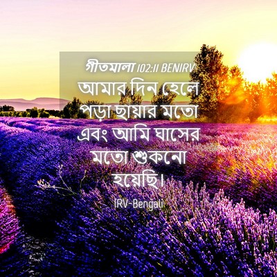 Picture 04 - গীতমালা 102:11 BENIRV - আমার দিন হেলে পড়া - Bible Verse Picture