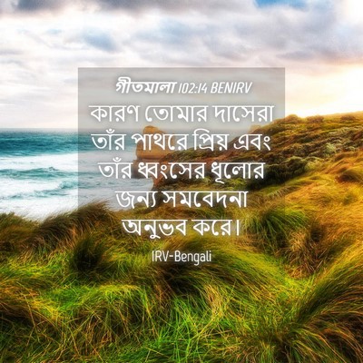 Picture 04 - গীতমালা 102:14 BENIRV - কারণ তোমার দাসেরা - Bible Verse Picture