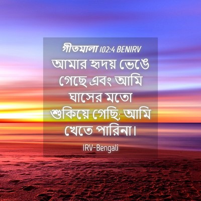 Picture 04 - গীতমালা 102:4 BENIRV - আমার হৃদয় ভেঙে - Bible Verse Picture