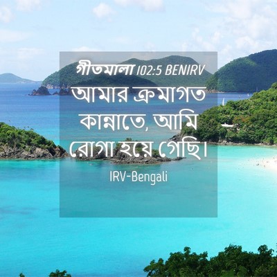 Picture 04 - গীতমালা 102:5 BENIRV - আমার ক্রমাগত - Bible Verse Picture