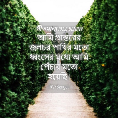Picture 04 - গীতমালা 102:6 BENIRV - আমি প্রান্তরের - Bible Verse Picture