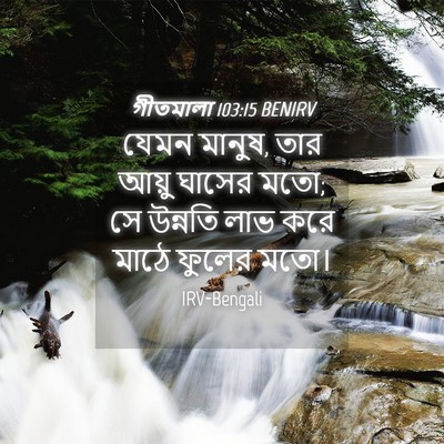 Picture 04 - গীতমালা 103:15 BENIRV - যেমন মানুষ, তার - Bible Verse Picture