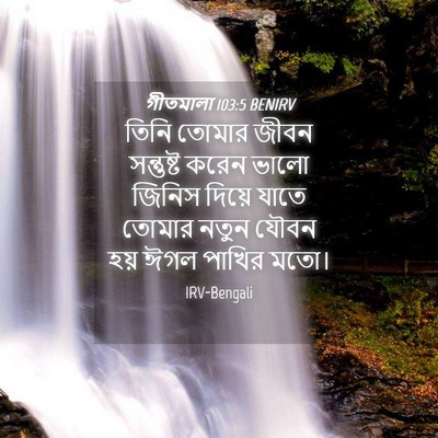 Picture 04 - গীতমালা 103:5 BENIRV - তিনি তোমার জীবন - Bible Verse Picture