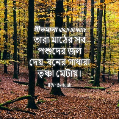 Picture 04 - গীতমালা 104:11 BENIRV - তারা মাঠের সব - Bible Verse Picture