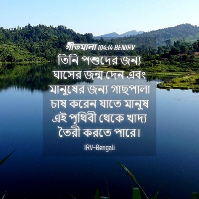 Picture 04 - গীতমালা 104:14 BENIRV - তিনি পশুদের জন্য - Bible Verse Picture