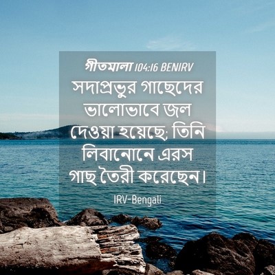 Picture 04 - গীতমালা 104:16 BENIRV - সদাপ্রভুুর - Bible Verse Picture