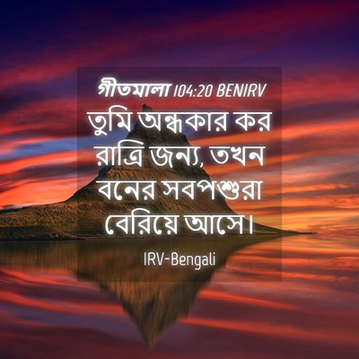 Picture 04 - গীতমালা 104:20 BENIRV - তুমি অন্ধকার কর - Bible Verse Picture