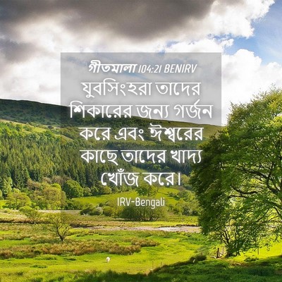 Picture 04 - গীতমালা 104:21 BENIRV - যুবসিংহরা তাদের - Bible Verse Picture