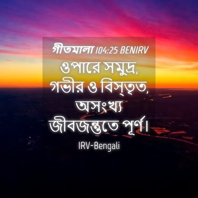 Picture 04 - গীতমালা 104:25 BENIRV - ওপারে সমুদ্র, গভীর - Bible Verse Picture
