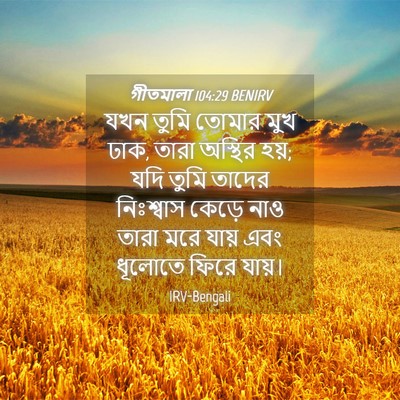Picture 04 - গীতমালা 104:29 BENIRV - যখন তুমি তোমার মুখ - Bible Verse Picture