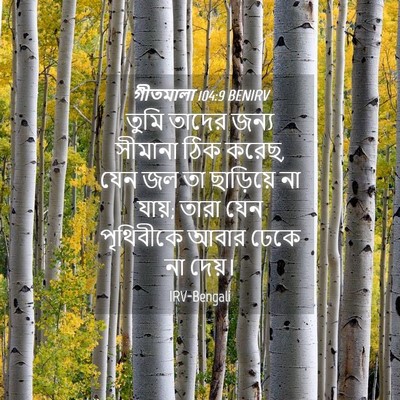 Picture 04 - গীতমালা 104:9 BENIRV - তুমি তাদের জন্য - Bible Verse Picture