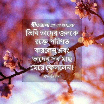 Picture 04 - গীতমালা 105:29 BENIRV - তিনি তাদের জলকে - Bible Verse Picture