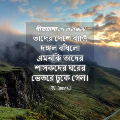 Picture 04 - গীতমালা 105:30 BENIRV - তাদের দেশে ব্যাঙ - Bible Verse Picture