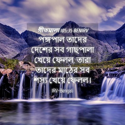 Picture 04 - গীতমালা 105:35 BENIRV - পঙ্গপাল তাদের - Bible Verse Picture