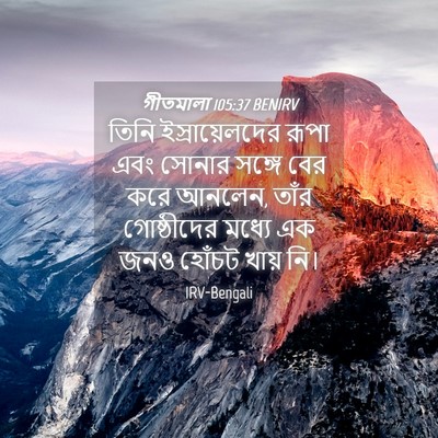 Picture 04 - গীতমালা 105:37 BENIRV - তিনি ইস্রায়েলদের - Bible Verse Picture