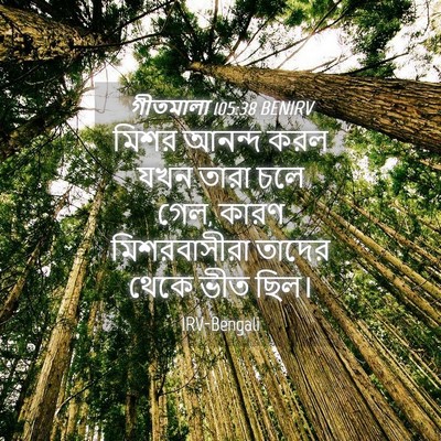 Picture 04 - গীতমালা 105:38 BENIRV - মিশর আনন্দ করল যখন - Bible Verse Picture