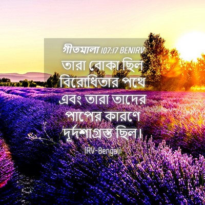 Picture 04 - গীতমালা 107:17 BENIRV - তারা বোকা ছিল - Bible Verse Picture